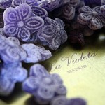 violettes-en-sucre